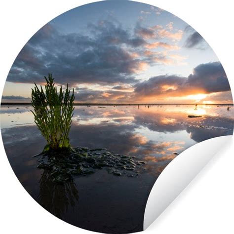 Wallcircle Muurstickers Behangcirkel Zee Waddeneilanden Lucht