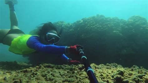 Bikini Side View Stock Footage Royalty Free Stock Videos Pond5