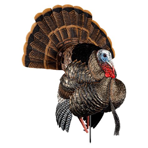 HS Strut Turkey Decoys Lifelike Realism At An Affordable Price