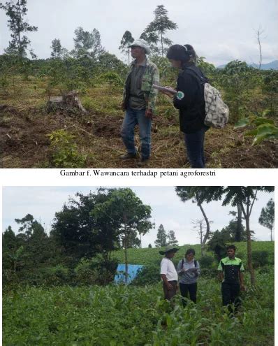 Kajian Sistem Agroforestri Di Hutan Kemasyarakatan Kesatuan