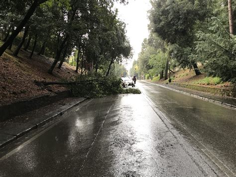 Toscana Maltempo Codice Arancione Per Temporali Forti E Rischio