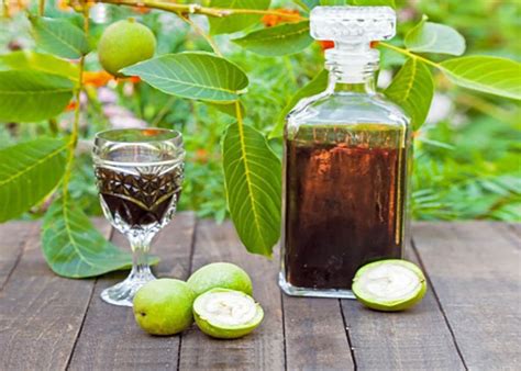 Рецепт настойки, приготовленной из зеленых грецких орехов на водке