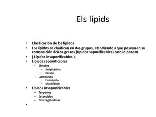 Bioquimica Lipids Ppt