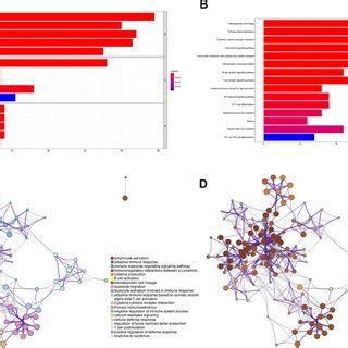 Kegg And Go Functional Enrichment Analysis For Degs A Heatmap