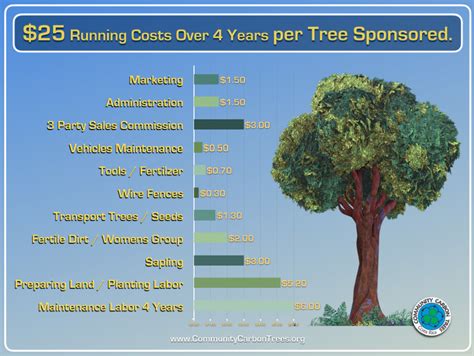 How Much Carbon Dioxide Does A Tree Absorb Each Year At Collette