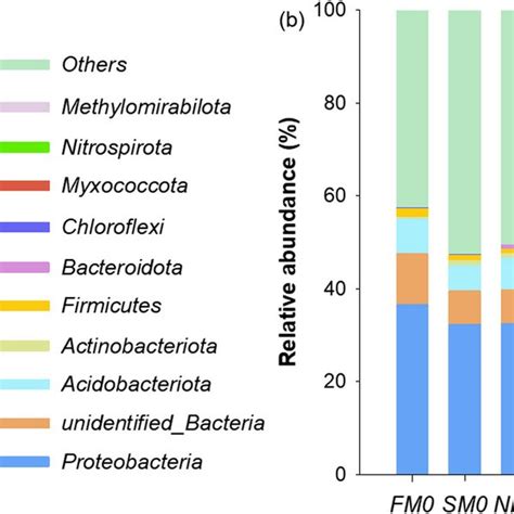 The 16s Rrna Gene Based Bacteria A And Its Gene Based Fungi B