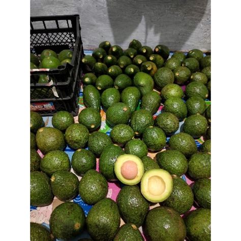 Jual Alpukat Buah Lokal Bandung Kg Mentega Fresh Segar Pulen