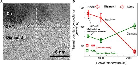 Bridging Overwhelms Binding For Enhancing Thermal Boundary Conductance