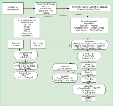 Journal Of Paramedic Practice Paediatric Anaphylaxis Triggers And