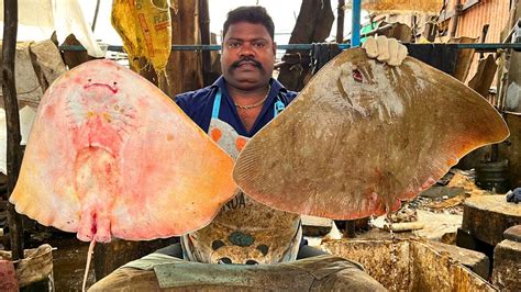 KASIMEDU SPEED SELVAM BIG BUTTERFLY RAY FISH CUTTING IN