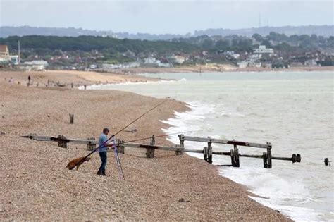 The Sussex beaches with no pollution warnings that are safe to swim at ...