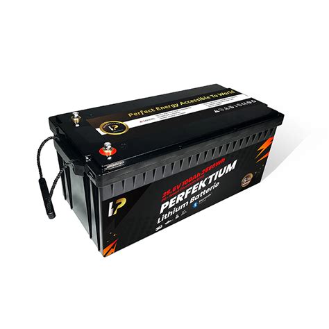 Perfektium Pb Series Lithium Batterie Lifepo V Ah Pro Smart Bms