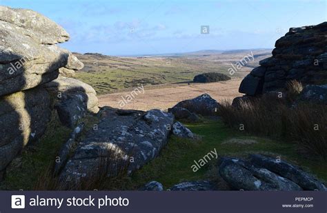 Rough Torbrown Willy Bodmin Moor Cornwall 200218 Stock Photo Alamy