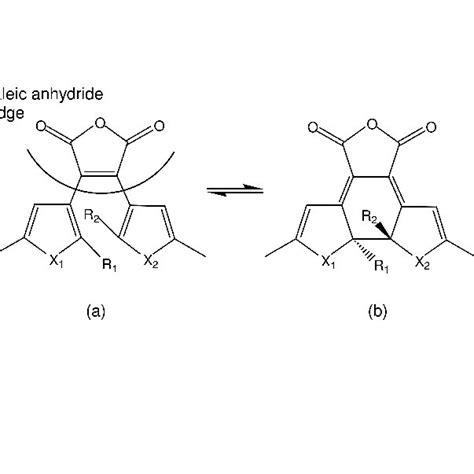 Representation Of Maleic Anhydride DA In Its Open Ring A And Its