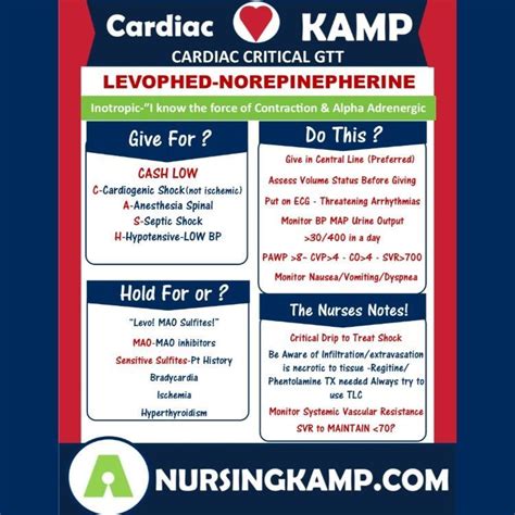 Levophed Drip Calculation Chart