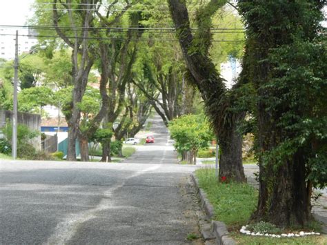 Os Melhores Bairros Para Morar Em Curitiba O Seu Lar Perfeito