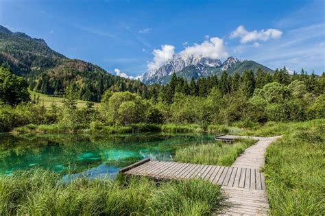 Discover Slovenia — Zelenci Slovenia The Unspoiled Natural Beauty