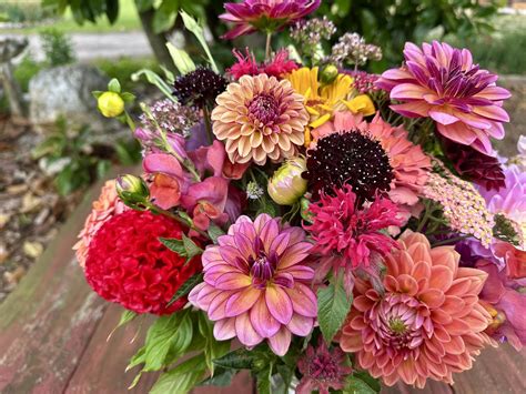 booked chatham county 6