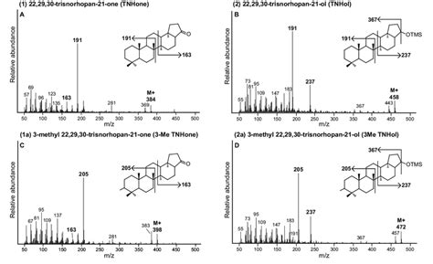 Mass Spectra With Fragmentation And Molecular Structures Of