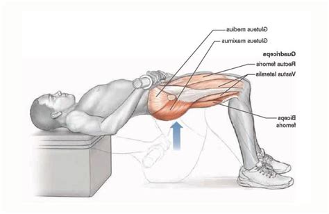 How To Do Hip Thrusts Correctly Benefits And Muscle Worked