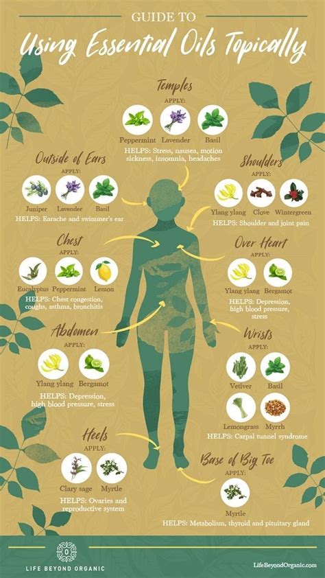 Guide To Using Essential Oils Topically Essential Oil Chart