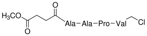 Sigma N Methoxysuccinyl Ala Ala Pro Val chloromethyl ketone 코랩샵