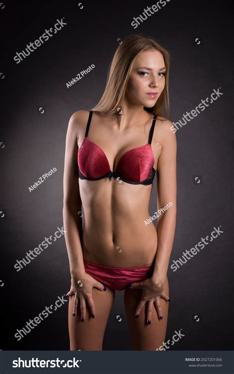 Sexy Woman Black Lingerie Gorgeous Figure Stock Photo 2027201066 Shutterstock