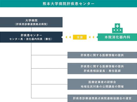 Topページ肝疾患センター 熊本大学大学院生命科学研究部 生体機能病態学分野消化器内科学講座