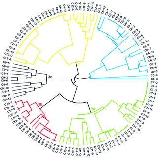 Dendrogram Generated By The Upgma Method Based On The Dissimilarity