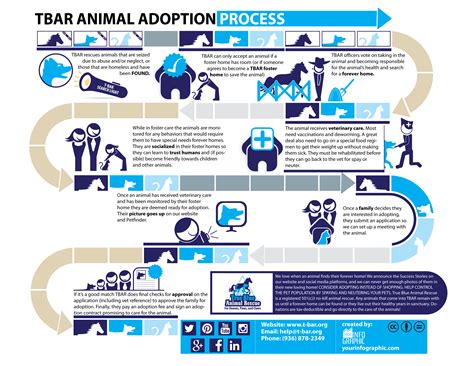 Infographic: TBAR Animal Adoption Process – True Blue Animal Rescue