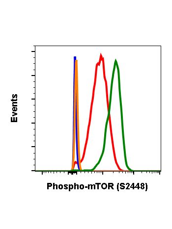 Phospho Mtor Ser E Rabbit Mab Pe Conjugate Abwiz Bio