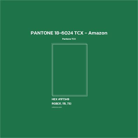 About PANTONE 18-6024 TCX - Amazon Color - Color codes, similar colors ...