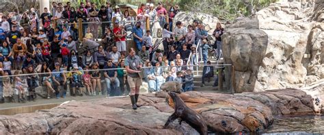 Sea Lion Cove Fresno Chaffee Zoo