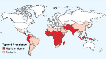 Typhoid Fever - Water And Its Implications