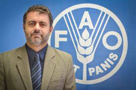 Fao Respalda Gesti N Del Sector Agropecuario Y Forestal En Cuba