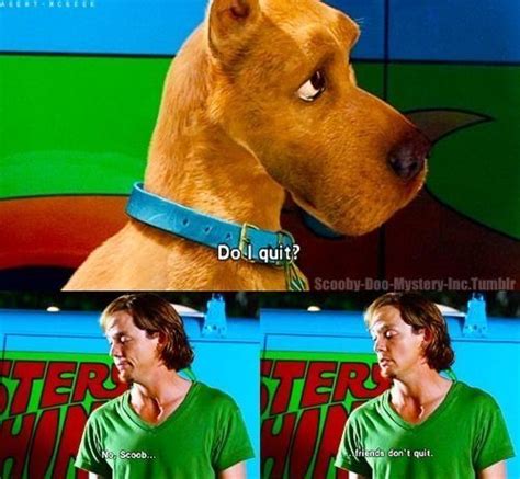 Pin By Alexis Lamontagne On Scobby Doo Scooby Doo Movie Scooby Doo