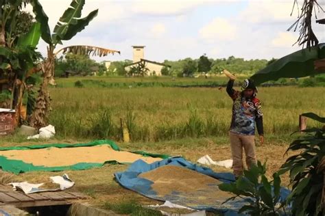 Pemkot Minta Dukungan Tni Untuk Bantu Cetak Sawah Hektare Di