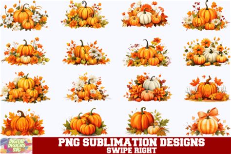 Pumpkins Flowers Sublimation Png Fall Graphic By