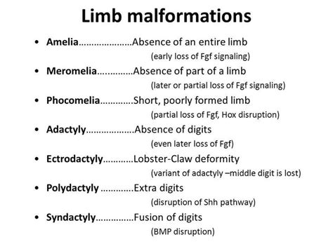 Limb Malformations Phocomelia Adactyly Limb Genetics Medicine