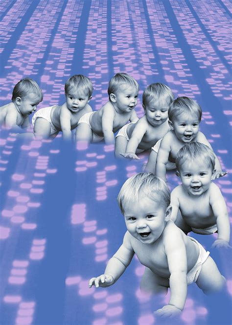 Human Cloning Photograph By Bluestonescience Photo Library Fine Art