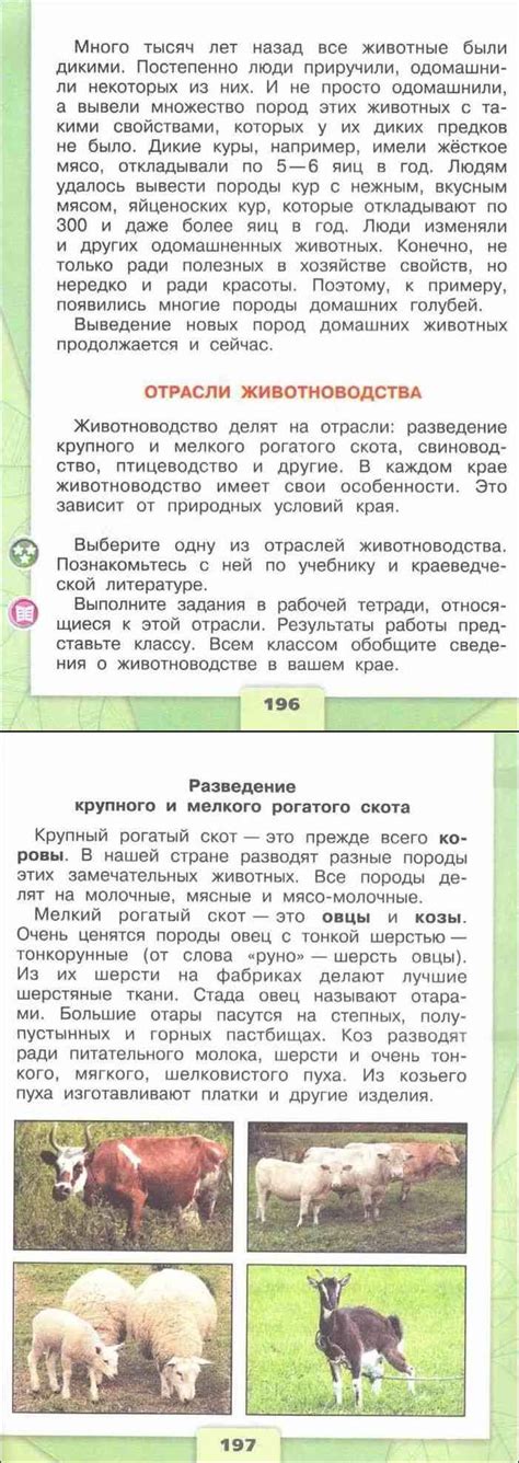 Читать онлайн учебник по окружающему миру за 4 класс Плешаков Крючкова ...