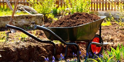 Schubkarre F R Den Garten Anforderungen Und Eigenschaften