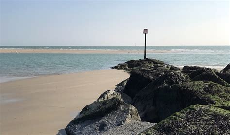 Are Dogs Allowed At Sandy Point Beach