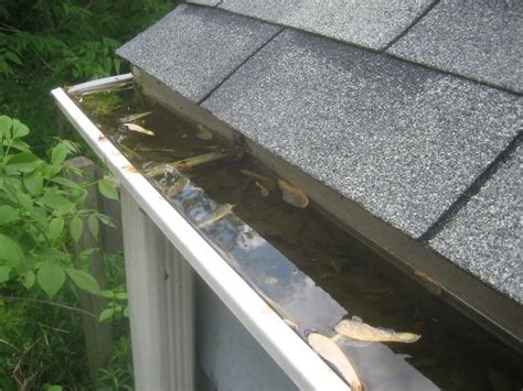 Five Springtime Gutter Cleaning Tips - Roofing Contractor NJ, Chimney ...