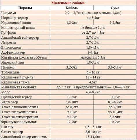 Владельцам питомцев пост. Обсуждение на LiveInternet - Российский ...