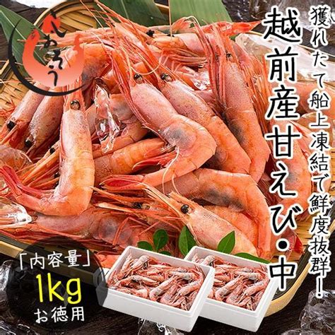 甘エビ 甘えび 子持ち 1kg（500g×2箱）約80尾入り 刺身用 越前産 甘えび 海老 えび エビ 贈り物 お祝い プレゼント ギフト