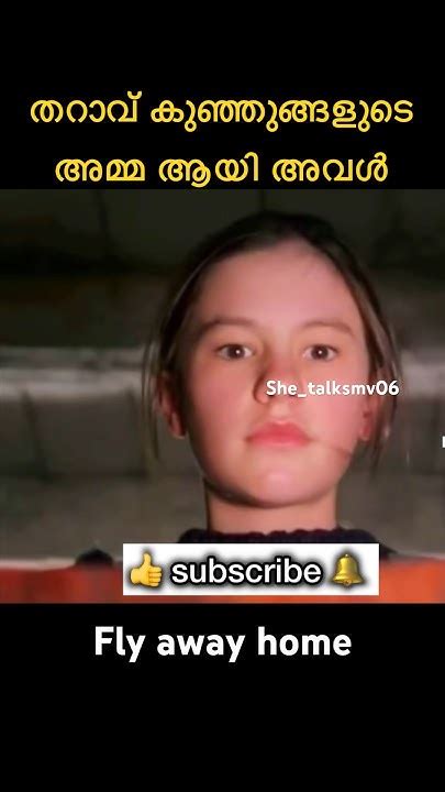 🥹 ️‍🩹തറാവ് കുഞ്ഞുങ്ങളുടെ അമ്മ ആയി അവൾ ⁉️shortvideo Ytshort Viral