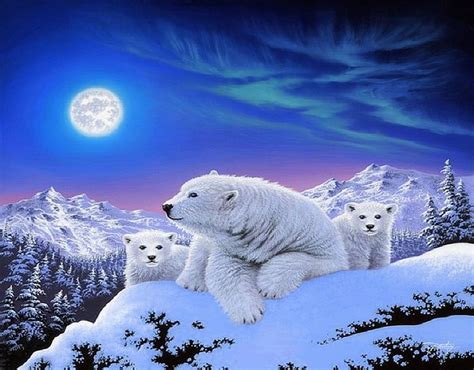 Polar Bears Wallpaper