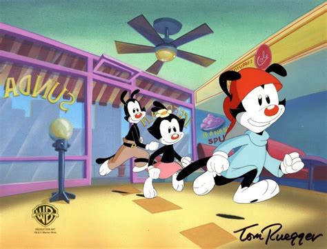 Animaniacs Original Production Cel On Original Background With Matching