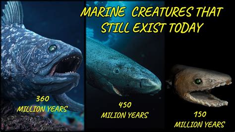 The Prehistoric Creatures That Are Still Alive Today Youtube